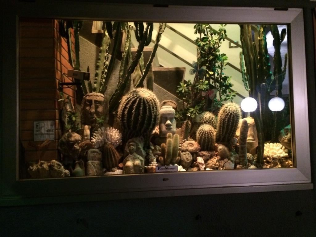 Residence Dei Fiori Bordighera Zewnętrze zdjęcie